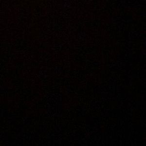 Meet your Posher, Jade